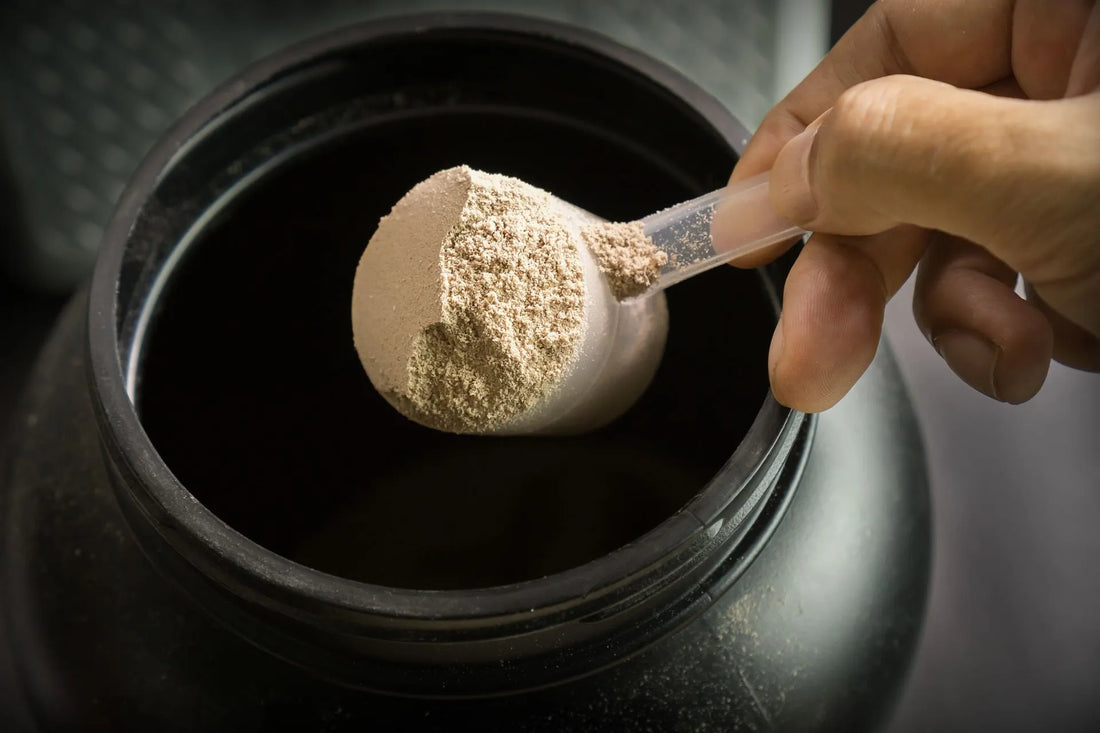 Los Mejores Suplementos de Proteína Whey