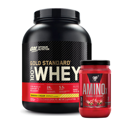 Gold Standard 5 lb + Amino X 30 serv - Zona FIT